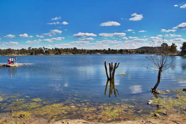 Der Stausee bei Niedrigwasser, mit sichtbarem Grund und Baumstümpfen