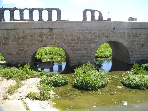 One of the arches close up, with the cutwater and the vegetation of the stream bed