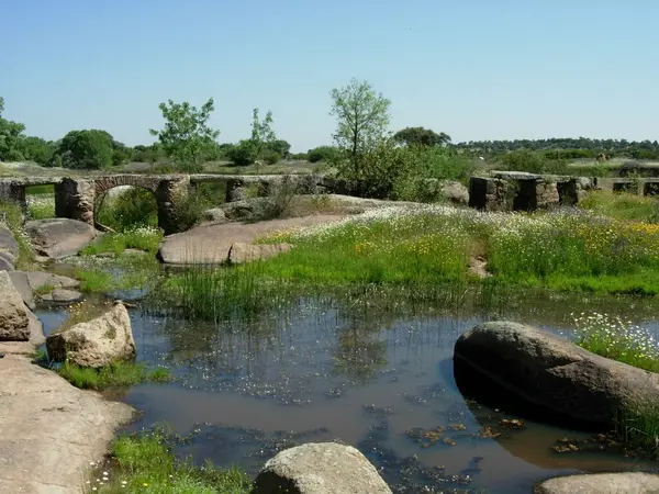 Puente Medieval de Las Tiendas, Mérida — puente